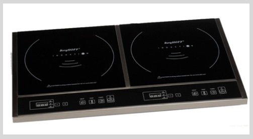 Best Double Induction Cooktop Options