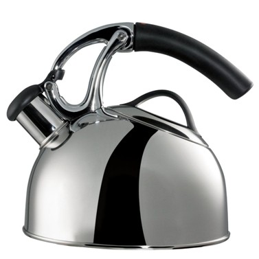 Tea Kettle For Induction Cooktop Sale, 50% OFF | empow-her.com