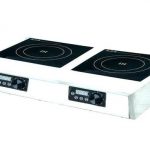 Top 3 Best Double Induction Cooktop